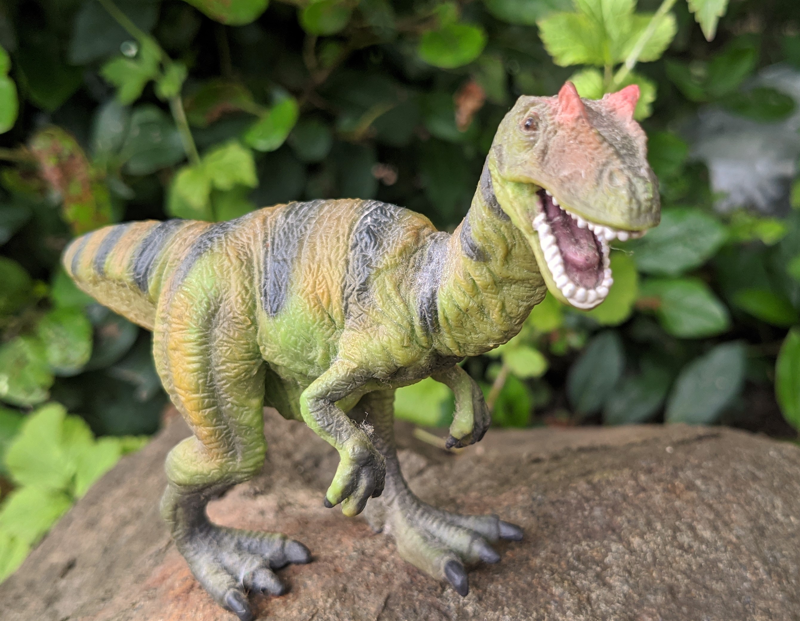 img-20200707-164801_OeeLODfi